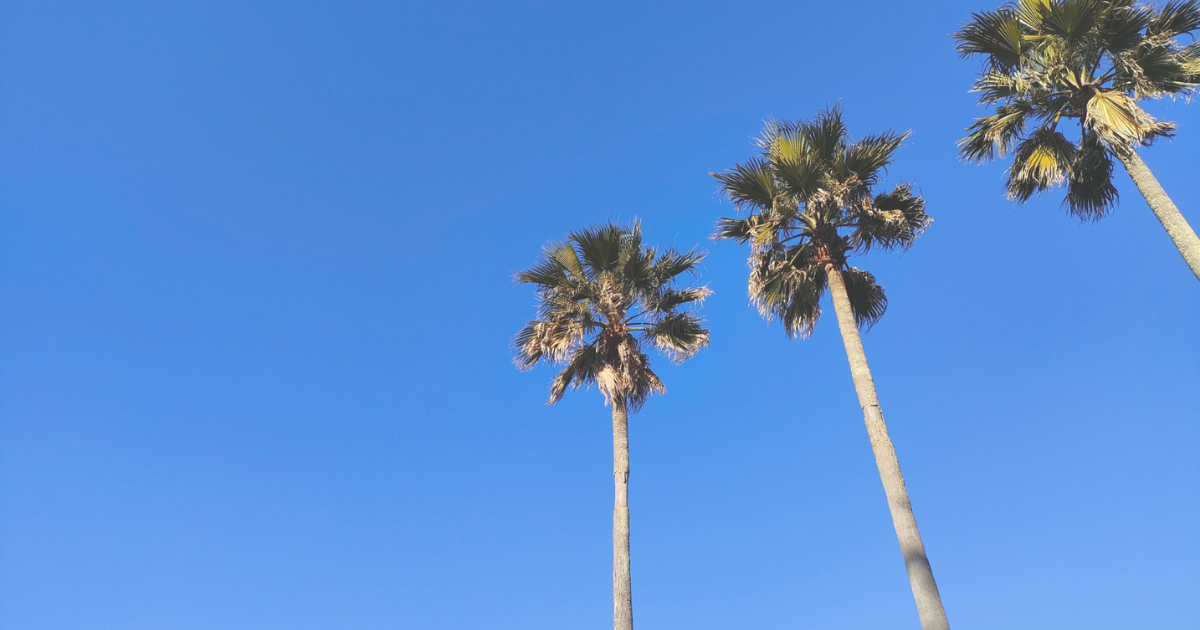 美容室帰りに散歩したい逗子の絶景スポット・海と空が広がる癒しの風景